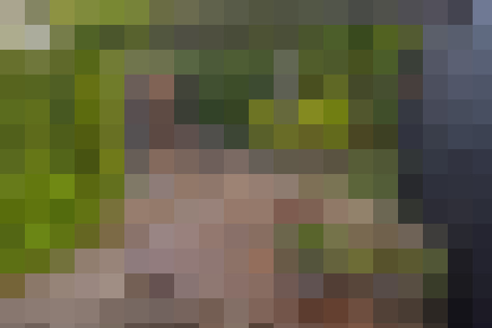 Image 43