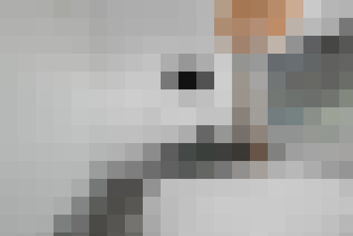 Image 50