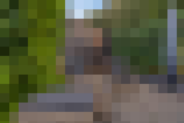 Image 36