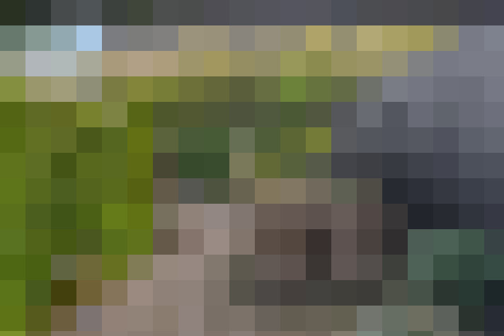 Image 34