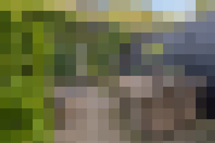 Image 35