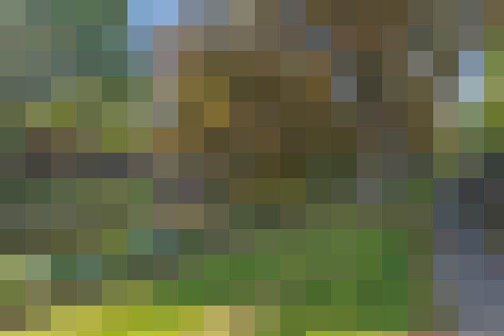 Image 68