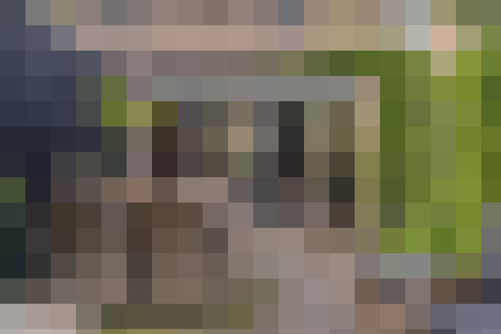 Image 41