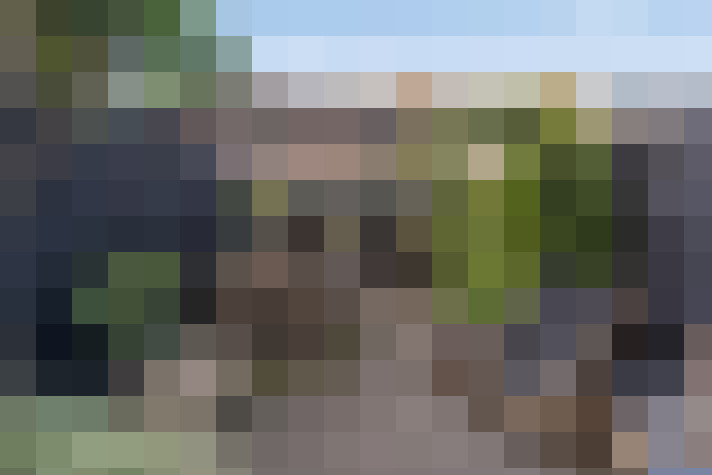 Image 40
