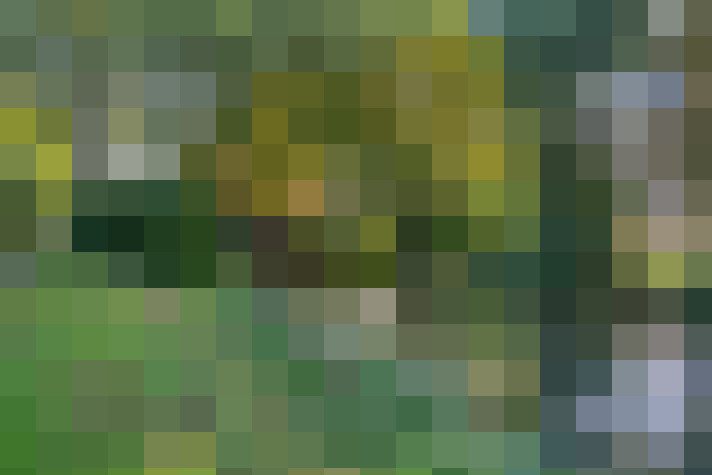 Image 69
