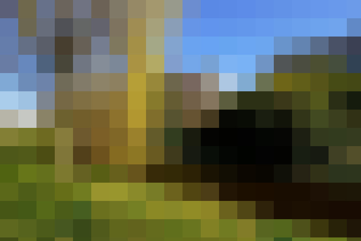 Image 22