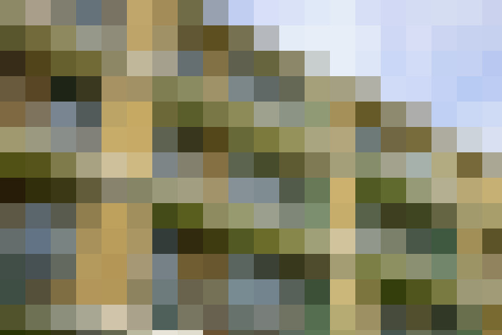 Image 20