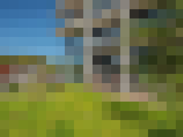 Image 37