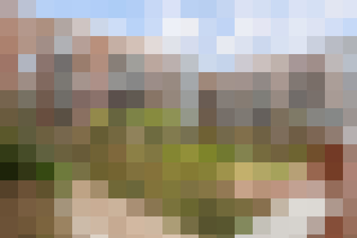 Image 23