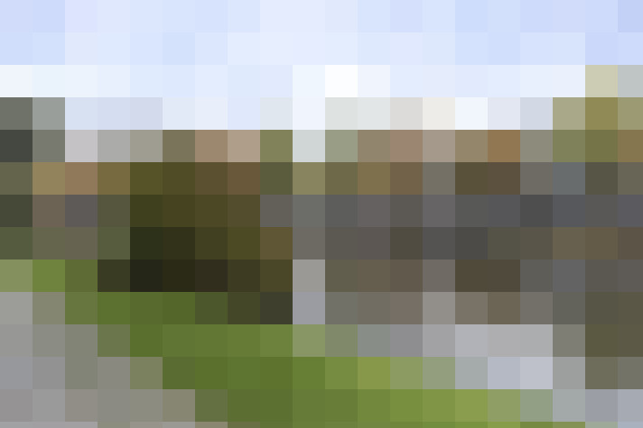 Image 30