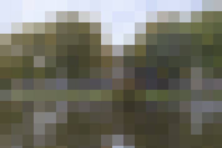 Image 31