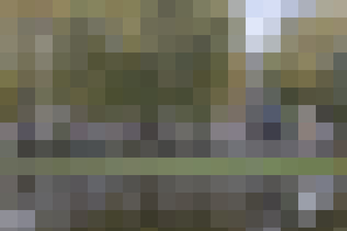 Image 33