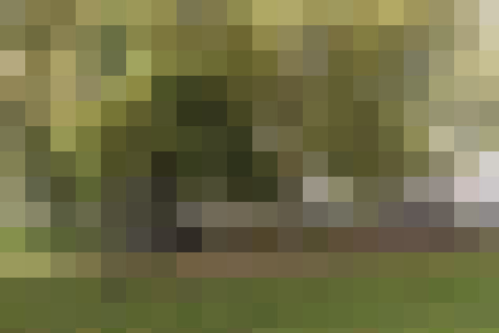 Image 37