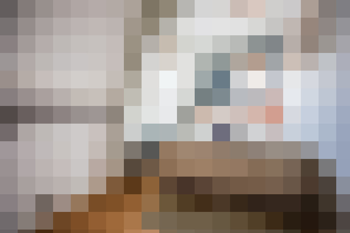 Image 28