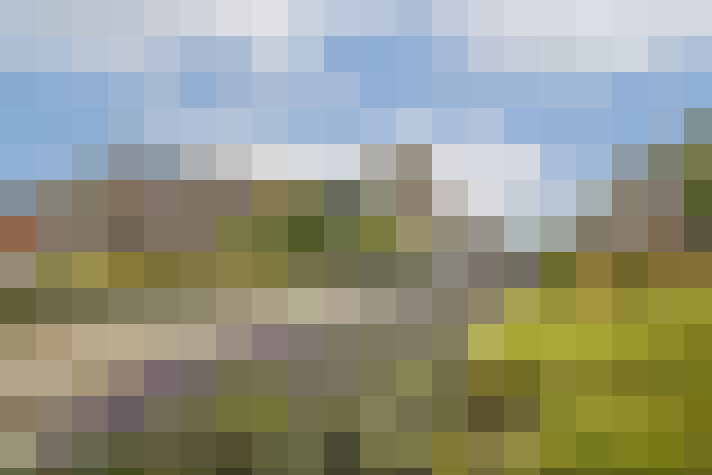 Image 23