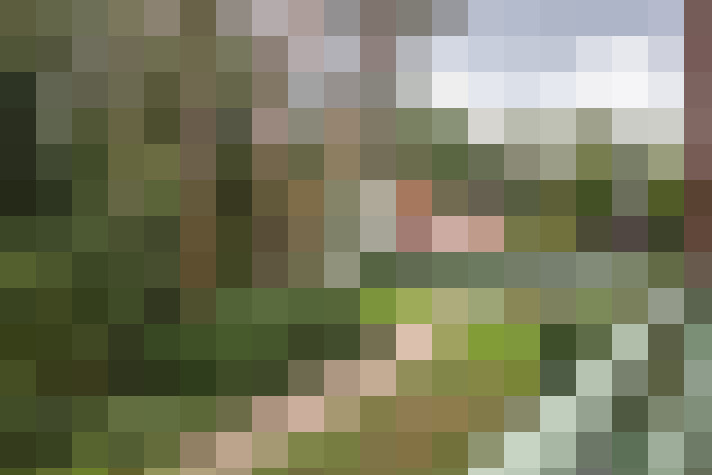 Image 24