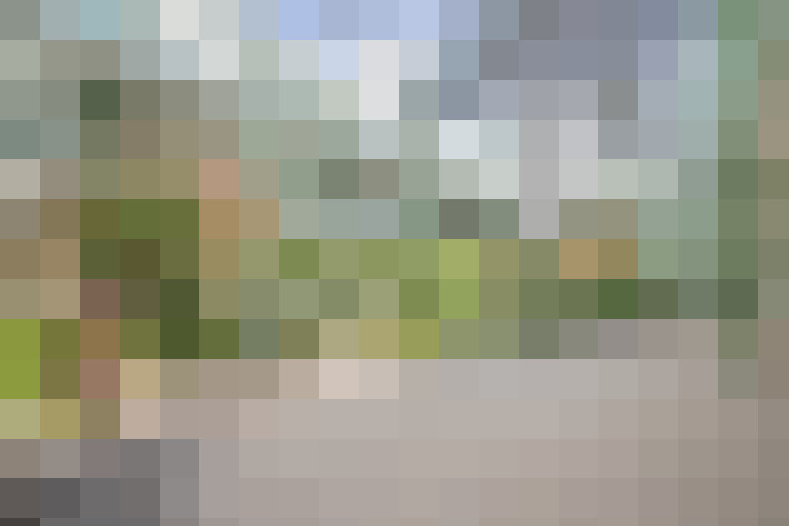 Image 26