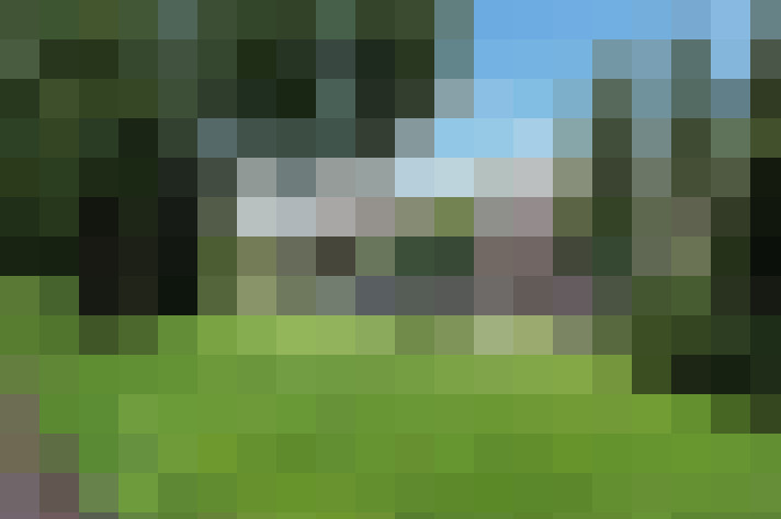 Image 25