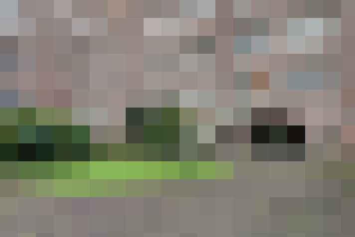 Image 22
