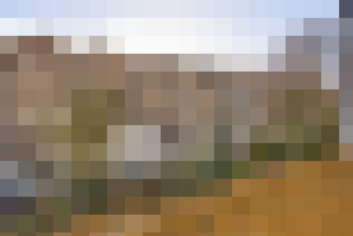 Image 36