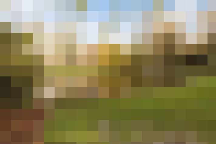 Image 38