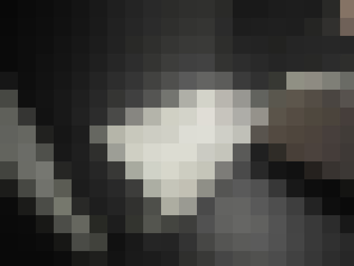 Image 17