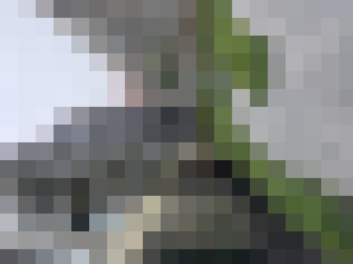 Image 16