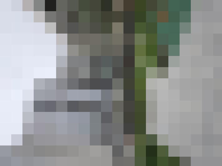Image 18