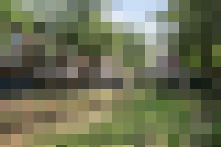 Image 29