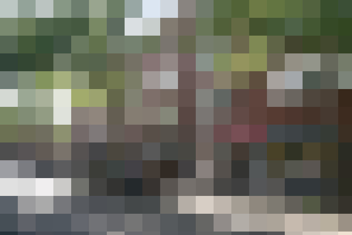 Image 28