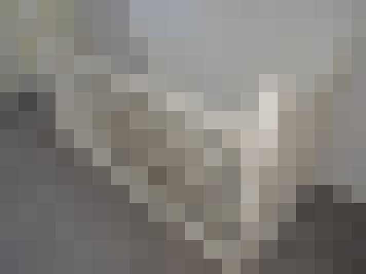 Image 22