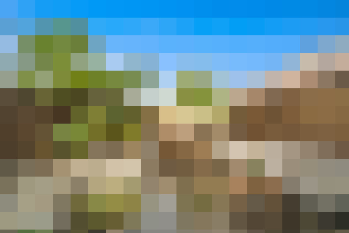 Image 26
