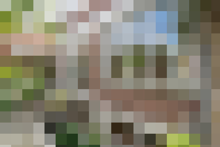 Image 33