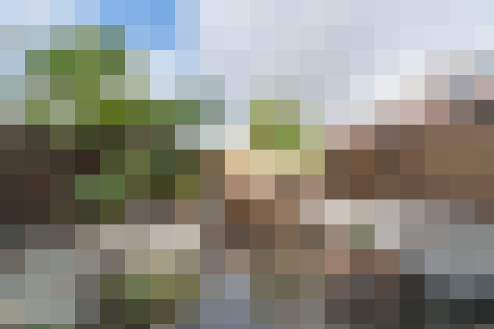 Image 31