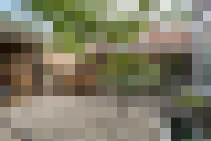 Image 40