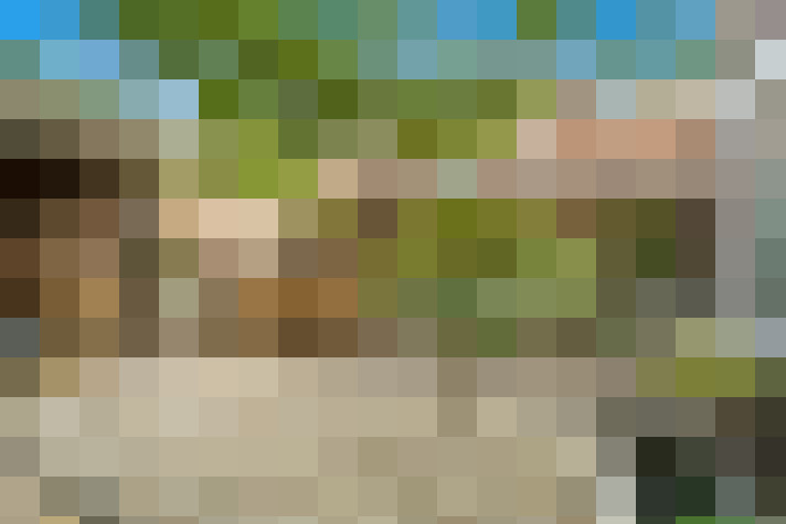 Image 34