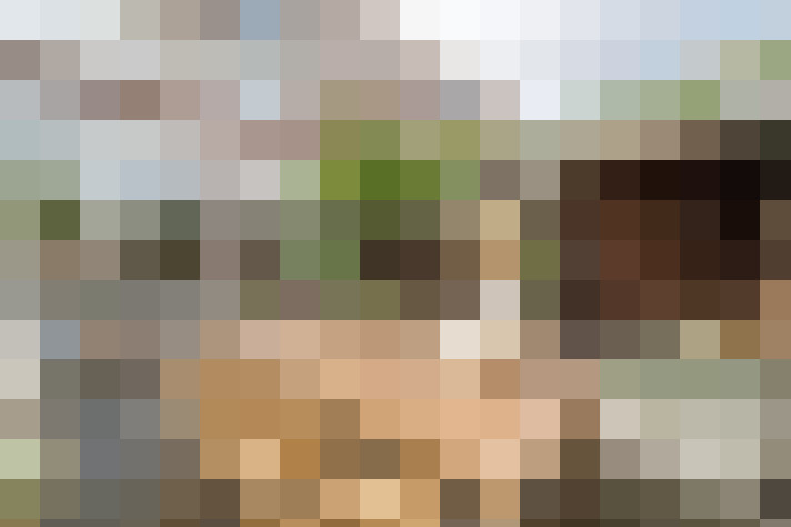 Image 37