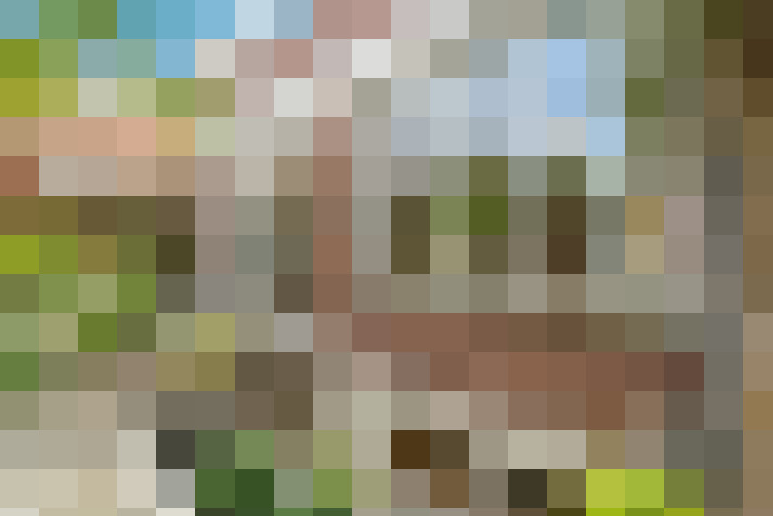 Image 27