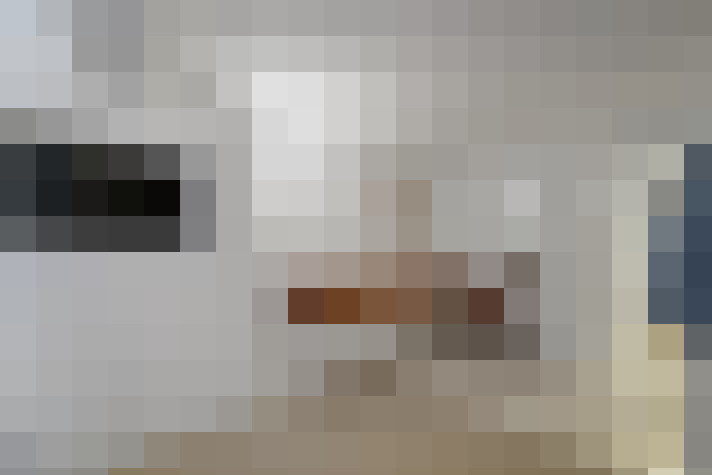 Image 61
