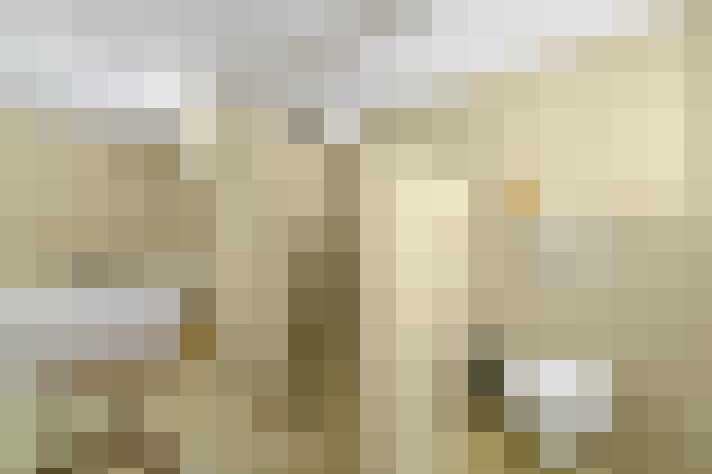 Image 52