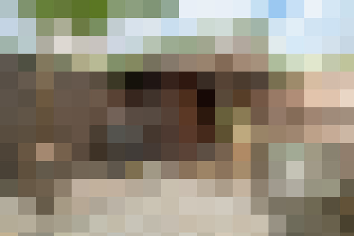 Image 42