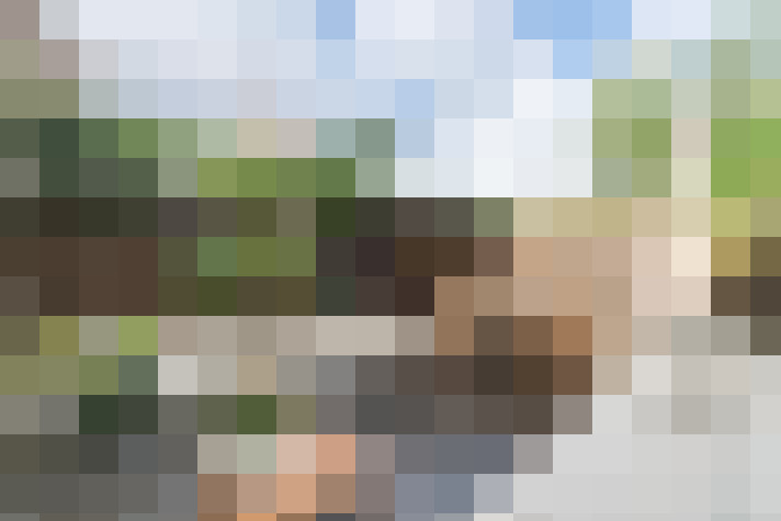 Image 35