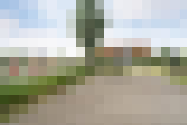 Image 22