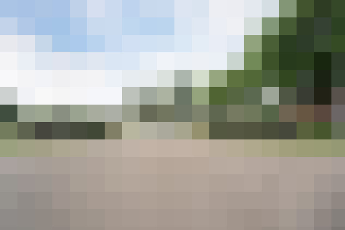 Image 20