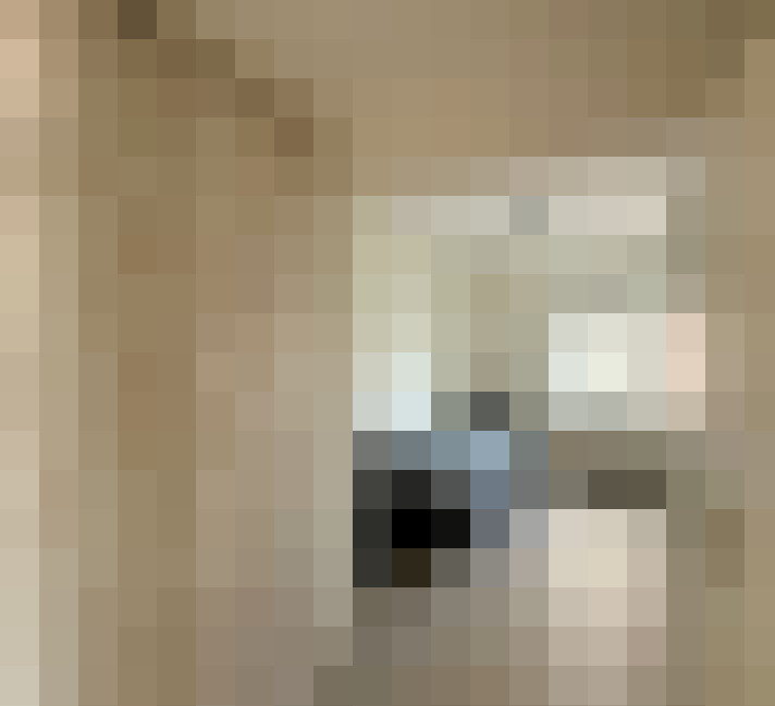 Image 17
