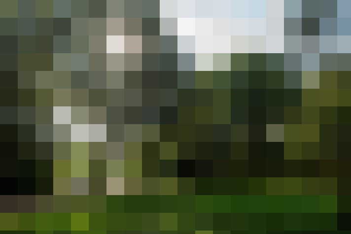Image 76