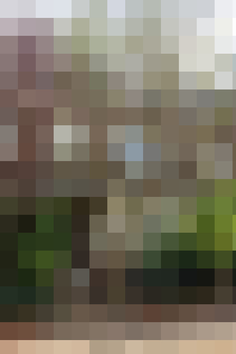 Image 67