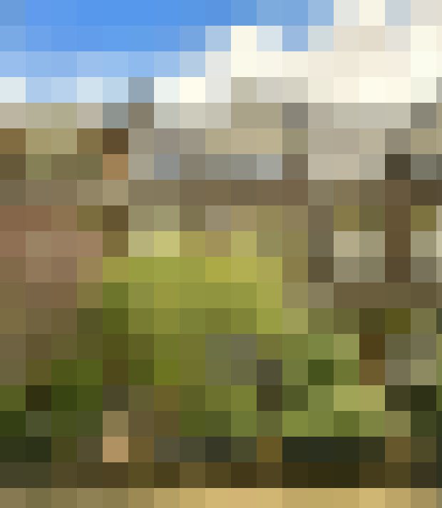 Image 69