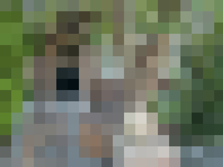 Image 99