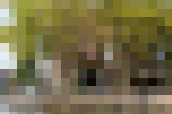 Image 95